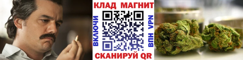 Кодеин Приморск
