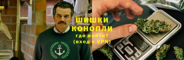 крисы Армянск