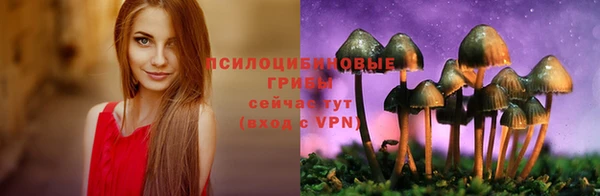 каннабис Алексеевка