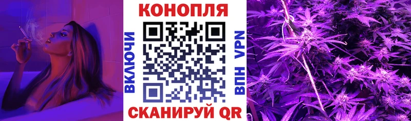 где купить наркотик  Приморск  Канабис Ganja 